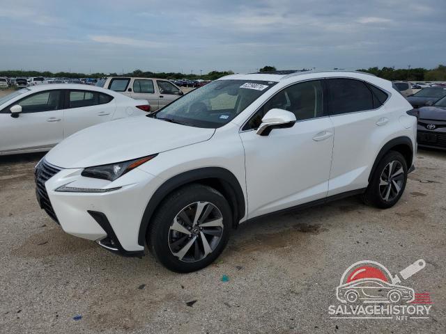 JTJYARBZ1K2135976 2019 LEXUS NX photo no. 8