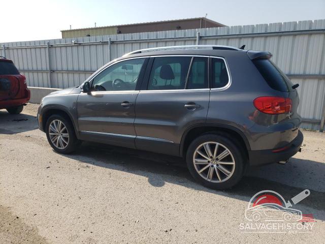 WVGBV7AX0CW004402 2012 VOLKSWAGEN TIGUAN photo no. 2
