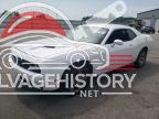 2C3CDZAG3FH843099 2015 DODGE CHALLENGER photo no. 7
