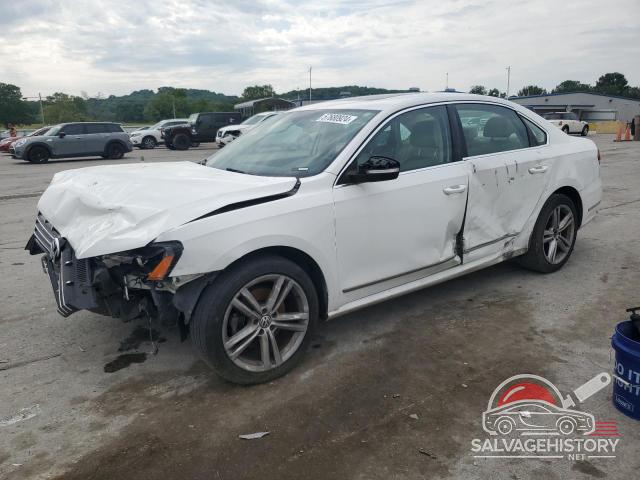 1VWCN7A37DC035278 2013 VOLKSWAGEN PASSAT photo no. 15