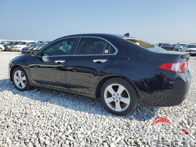 JH4CU2F62AC013890 2010 ACURA TSX photo no. 2
