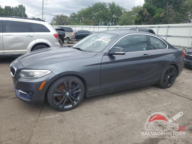 WBA1G9C51FVX96424 2015 BMW 2 SERIES photo no. 7