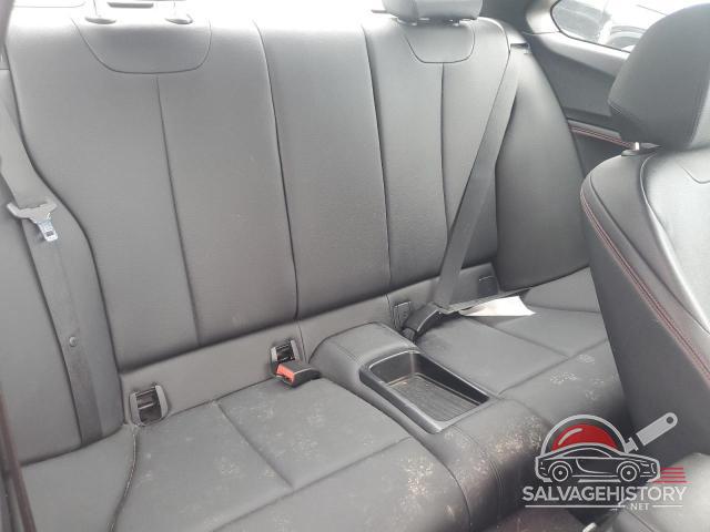 WBA1G9C51FVX96424 2015 BMW 2 SERIES photo no. 10
