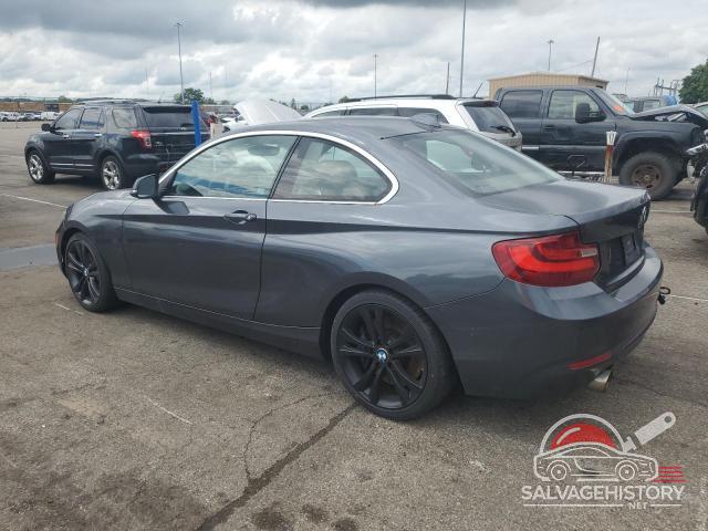 WBA1G9C51FVX96424 2015 BMW 2 SERIES photo no. 2