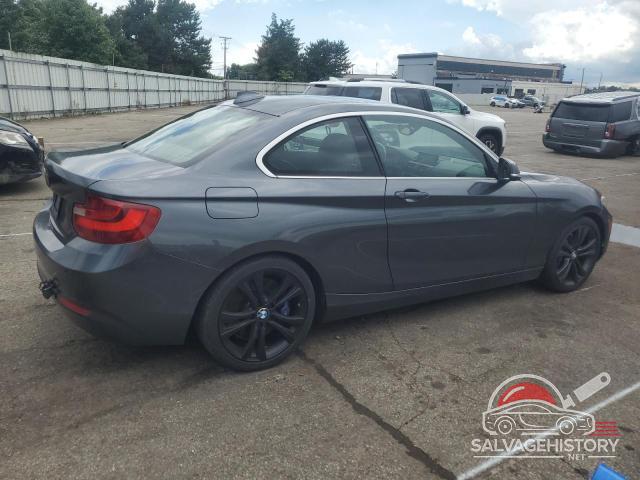 WBA1G9C51FVX96424 2015 BMW 2 SERIES photo no. 3