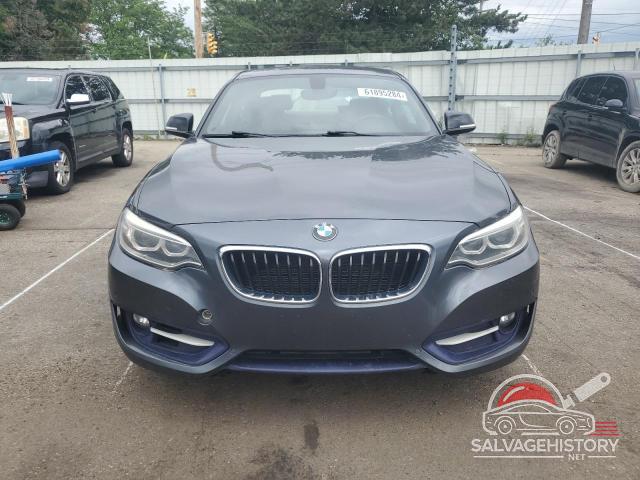 WBA1G9C51FVX96424 2015 BMW 2 SERIES photo no. 5