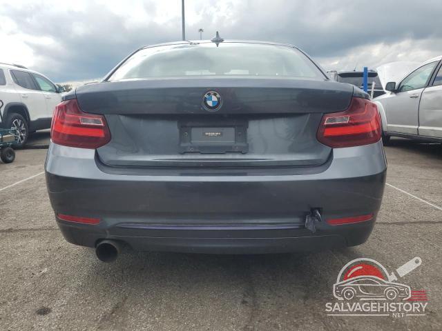 WBA1G9C51FVX96424 2015 BMW 2 SERIES photo no. 6