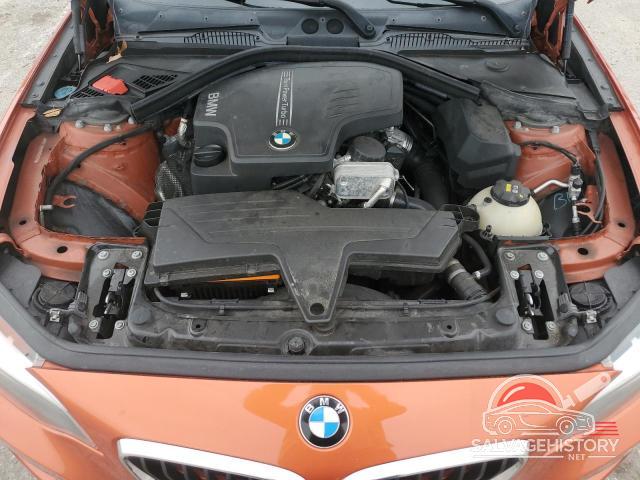 WBA1F5C5XGV344047 2016 BMW 2 SERIES photo no. 11