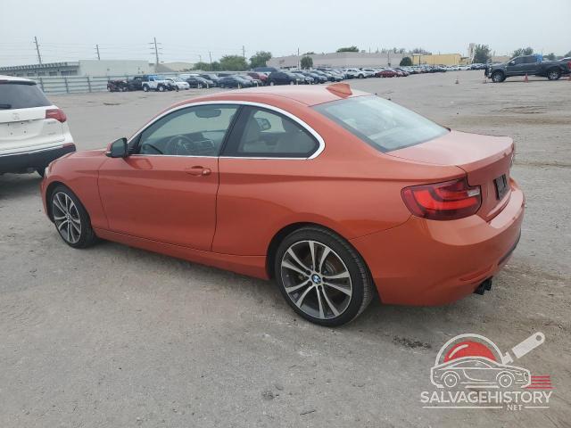 WBA1F5C5XGV344047 2016 BMW 2 SERIES photo no. 2