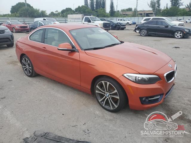 WBA1F5C5XGV344047 2016 BMW 2 SERIES photo no. 4