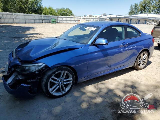 WBA1G9C58GV599400 2016 BMW 2 SERIES photo no. 4