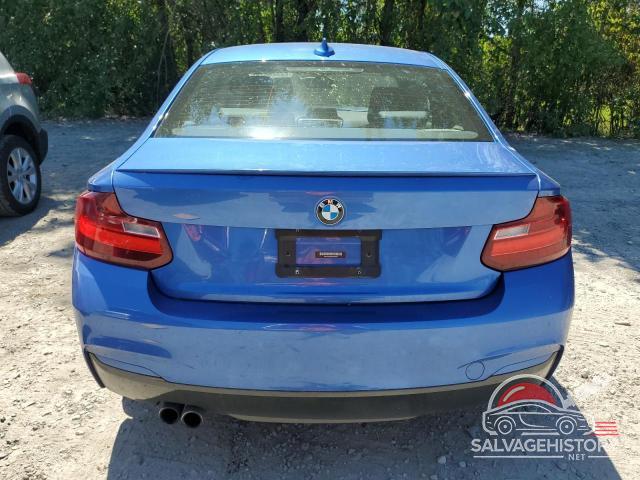 WBA1G9C58GV599400 2016 BMW 2 SERIES photo no. 6