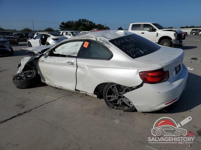 WBA2J1C07L7F00188 2020 BMW 2 SERIES photo no. 2