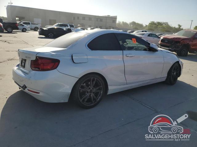 WBA2J1C07L7F00188 2020 BMW 2 SERIES photo no. 3