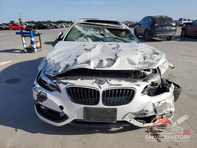 WBA2J1C07L7F00188 2020 BMW 2 SERIES photo no. 5