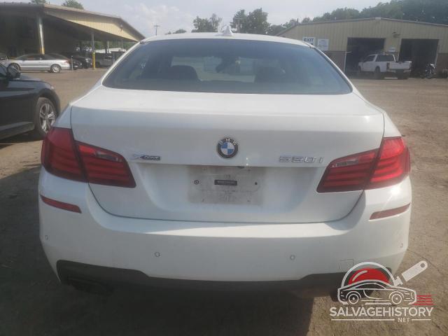 WBAFU9C54DDY70307 2013 BMW 5 SERIES photo no. 6