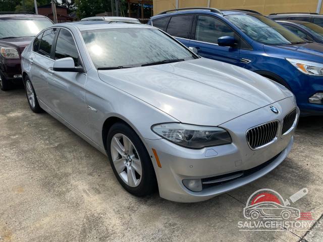 WBAXG5C5XDD233958 2013 BMW 5 SERIES photo no. 5