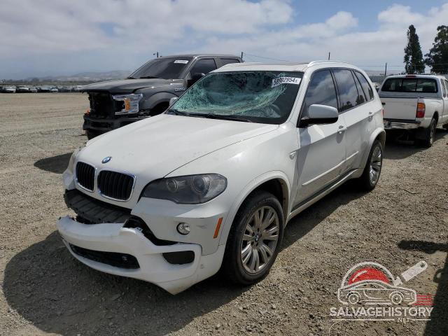 5UXFE4C52AL382251 2010 BMW X5 photo no. 10