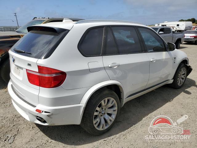 5UXFE4C52AL382251 2010 BMW X5 photo no. 3