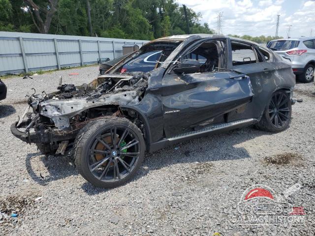 5UXFG2C58E0K41660 2014 BMW X6 photo no. 3