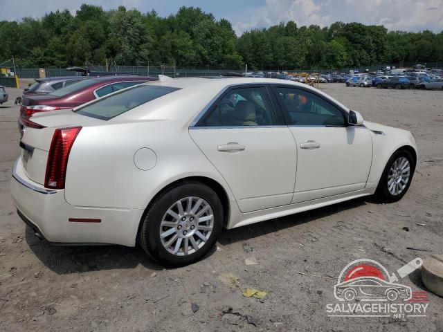 1G6DH5EG4A0132468 2010 CADILLAC CTS photo no. 3