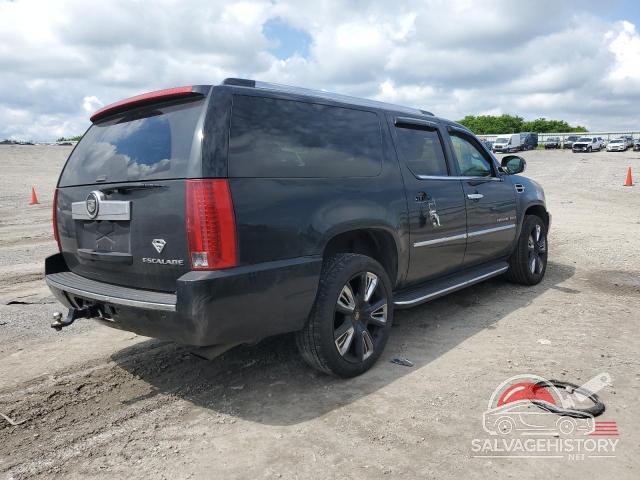1GYFK66828R116256 2008 CADILLAC ESCALADE photo no. 3