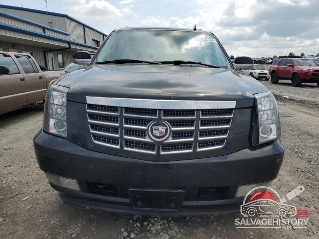 1GYFK66828R116256 2008 CADILLAC ESCALADE photo no. 5