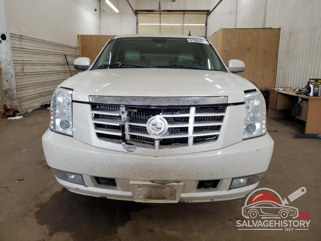 1GYUKBEF9AR211709 2010 CADILLAC ESCALADE photo no. 5