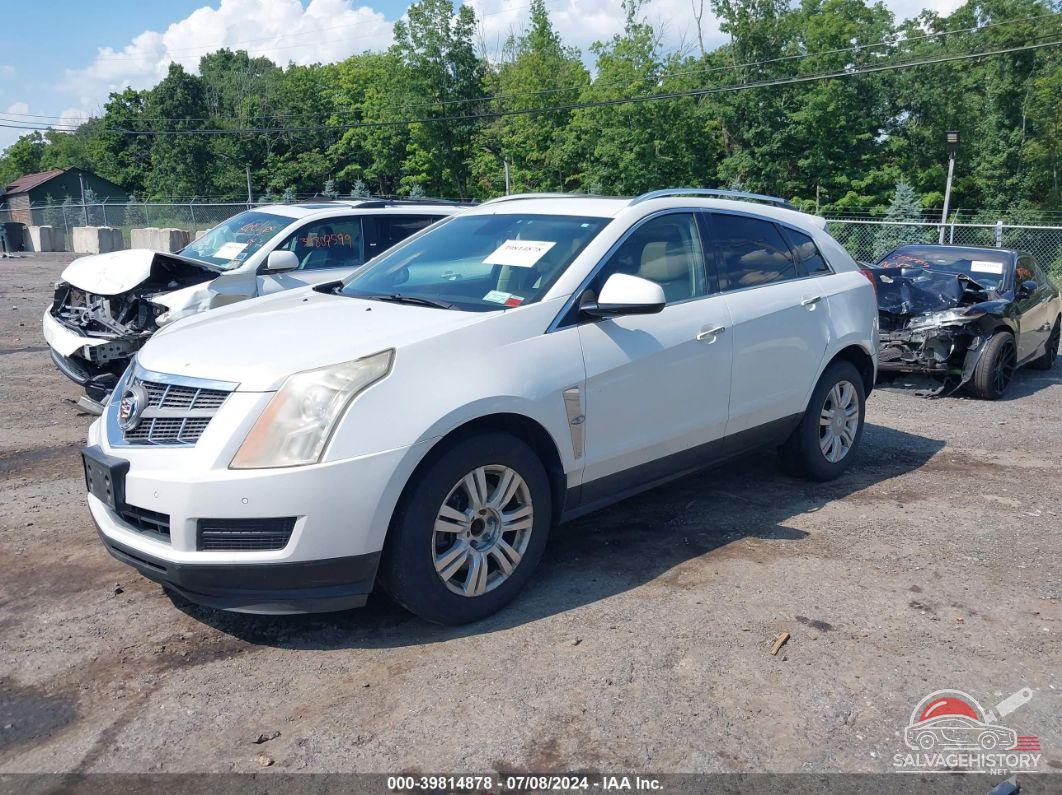 3GYFNAEY5AS645246 2010 CADILLAC SRX photo no. 2