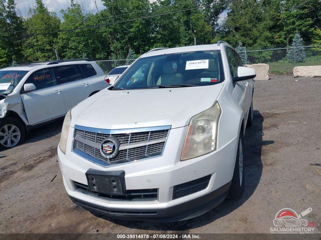 3GYFNAEY5AS645246 2010 CADILLAC SRX photo no. 6