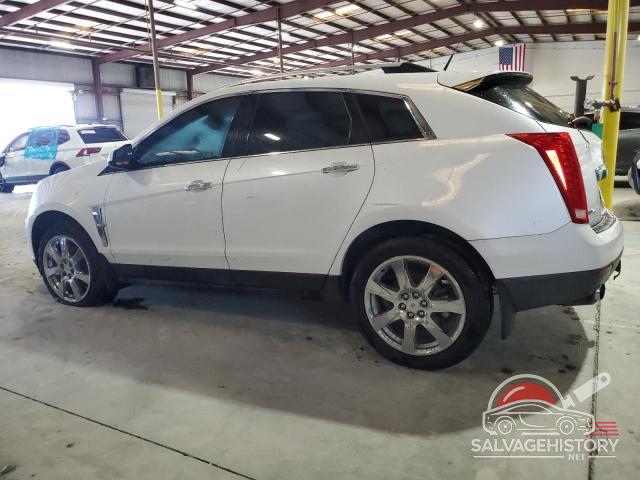 3GYFNFEY1AS563480 2010 CADILLAC SRX photo no. 2