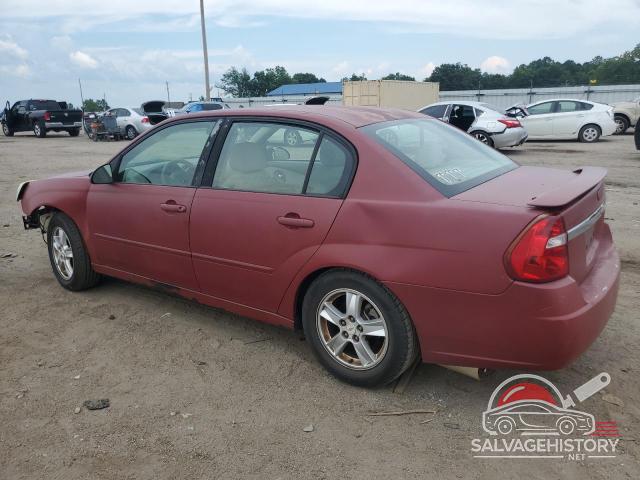 1G1ZT54895F204224 2005 CHEVROLET MALIBU photo no. 2