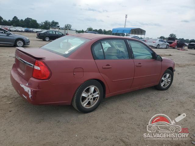 1G1ZT54895F204224 2005 CHEVROLET MALIBU photo no. 3