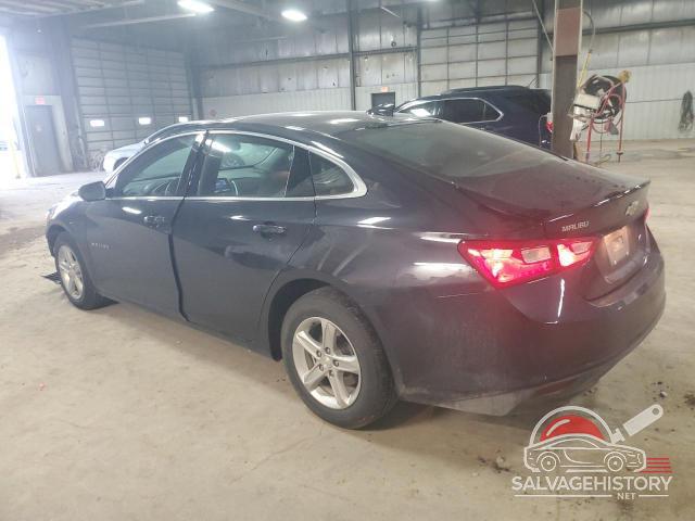1G1ZD5ST3PF213704 2023 CHEVROLET MALIBU photo no. 2