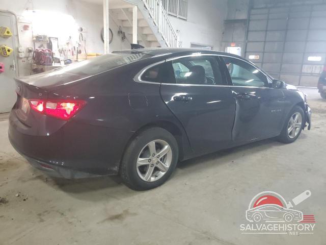 1G1ZD5ST3PF213704 2023 CHEVROLET MALIBU photo no. 3