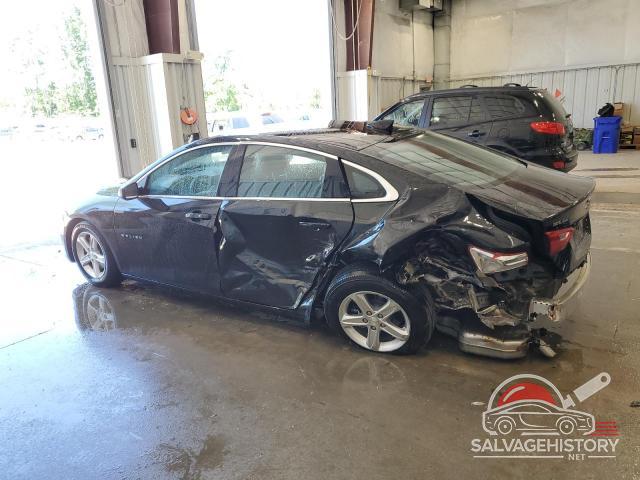 1G1ZD5ST8PF241661 2023 CHEVROLET MALIBU photo no. 2