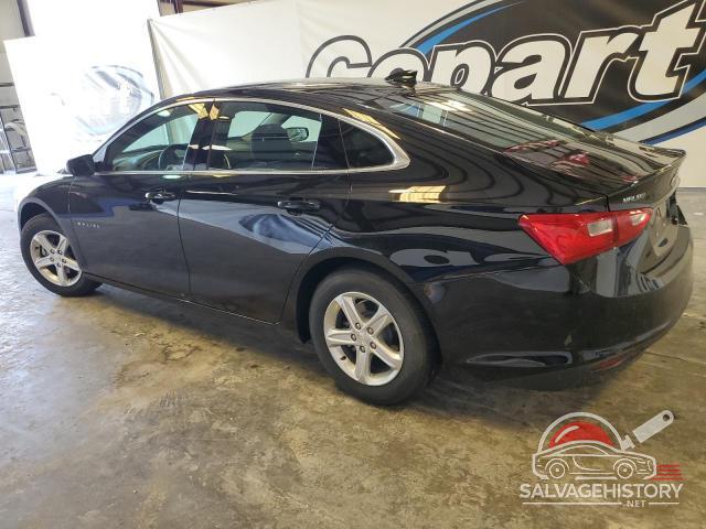 1G1ZD5ST3RF208635 2024 CHEVROLET MALIBU photo no. 2