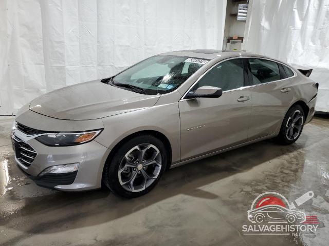 1G1ZD5ST9RF172188 2024 CHEVROLET MALIBU photo no. 18