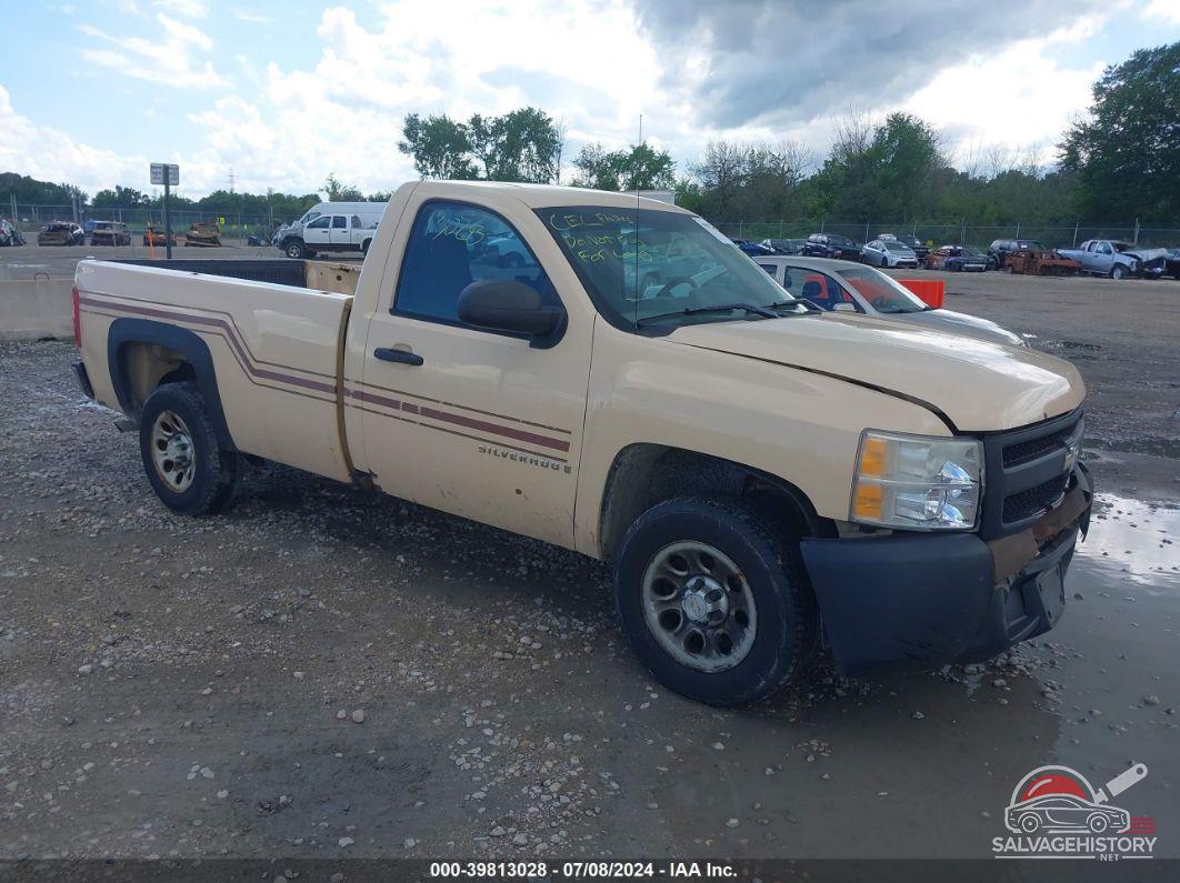 1GCEC14C07Z603690 2007 CHEVROLET SILVERADO 1500 photo no. 19