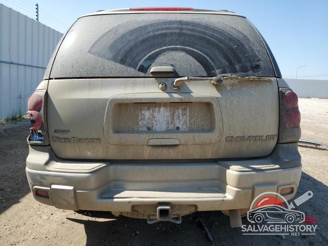 1GNDT13S942401009 2004 CHEVROLET TRAILBLZR photo no. 6