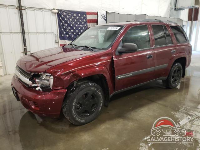 1GNDT13SX42256854 2004 CHEVROLET TRAILBLZR photo no. 8
