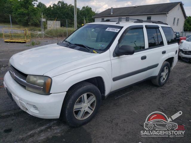 1GNDT13S252202059 2005 CHEVROLET TRAILBLZR photo no. 19