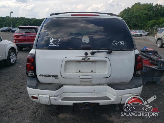 1GNDT13S252202059 2005 CHEVROLET TRAILBLZR photo no. 6
