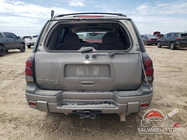 1GNDS13S962245270 2006 CHEVROLET TRAILBLZR photo no. 6