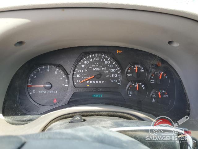 1GNDT13SX72255207 2007 CHEVROLET TRAILBLZR photo no. 9