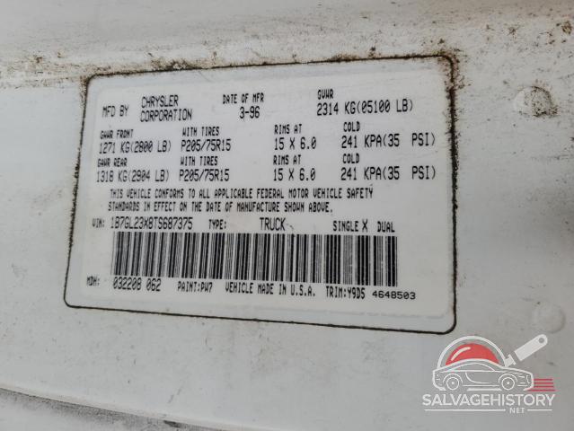 1B7GL23X8TS687375 1996 DODGE All Models photo no. 13