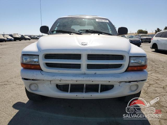 1B4HS28Y1XF674990 1999 DODGE All Models photo no. 5