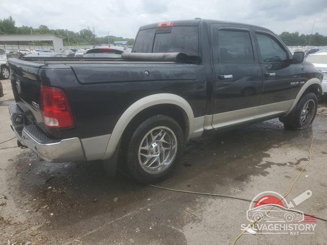 1D3HV13T09J531567 2009 DODGE All Models photo no. 3