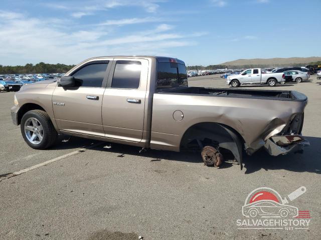 1D3HV18P69S804629 2009 DODGE All Models photo no. 2