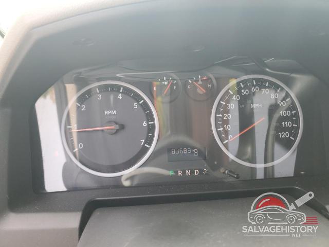 1D7RB1GP0AS119303 2010 DODGE All Models photo no. 9